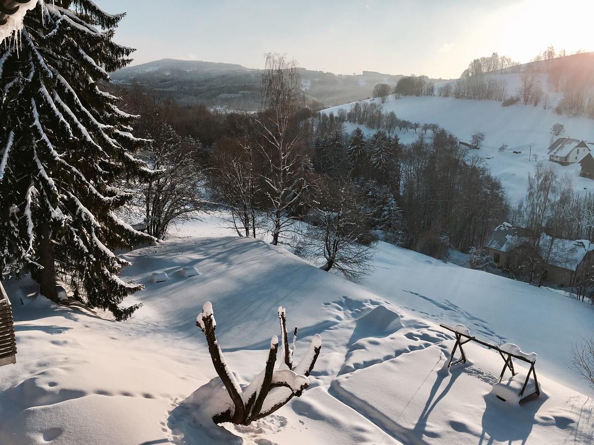 Apartman Stara Skola Vysoké nad Jizerou Buitenkant foto